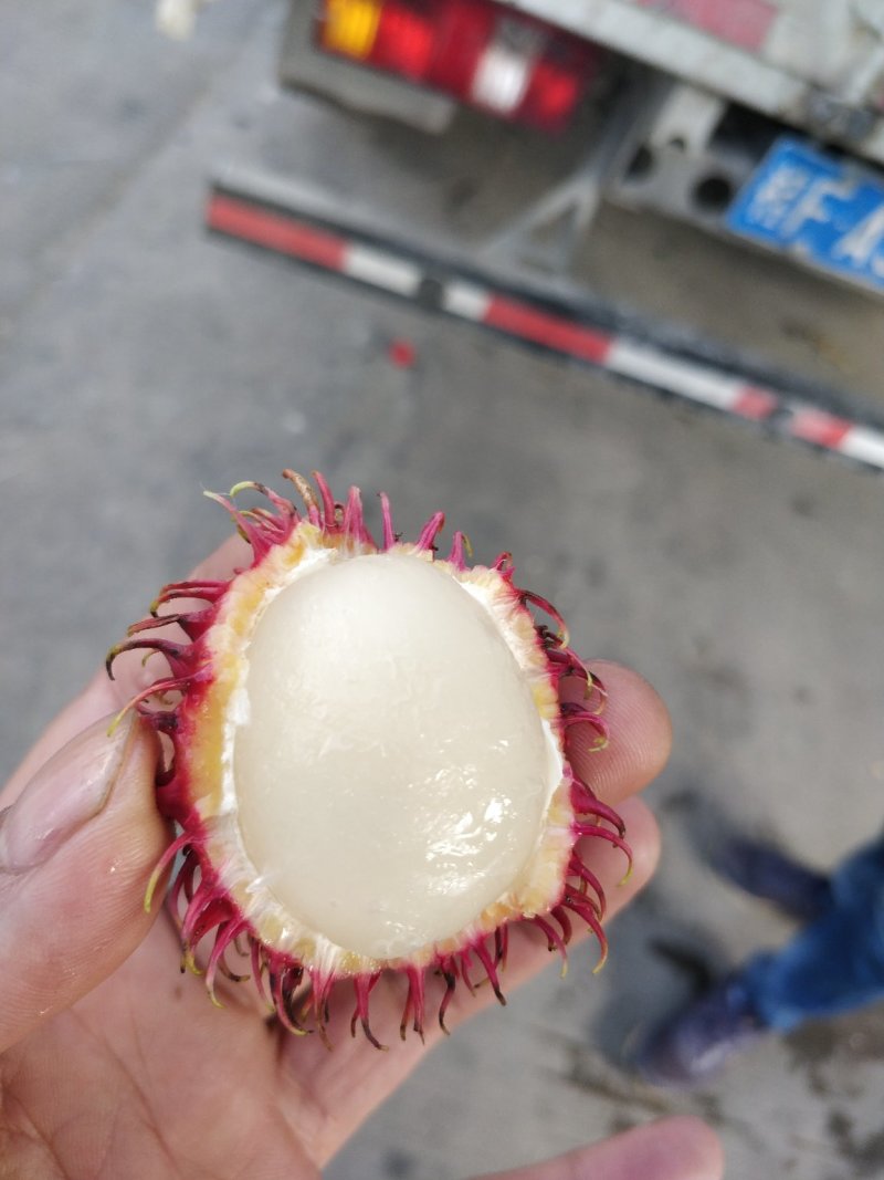 越南红毛丹