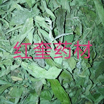 甜叶菊甜菊叶茶用级别各种外用药材需要联系我