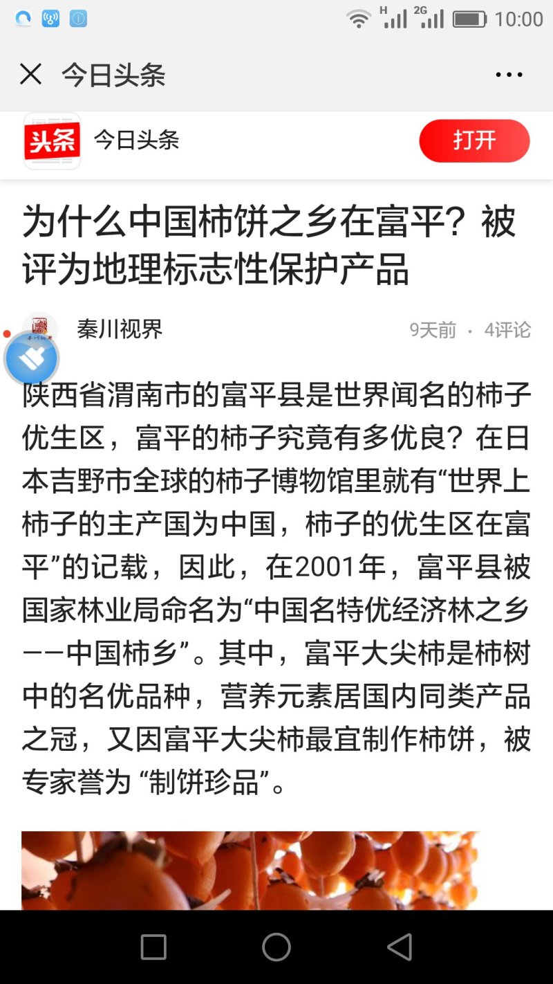 富平吊霜柿饼（免费送半斤试吃）