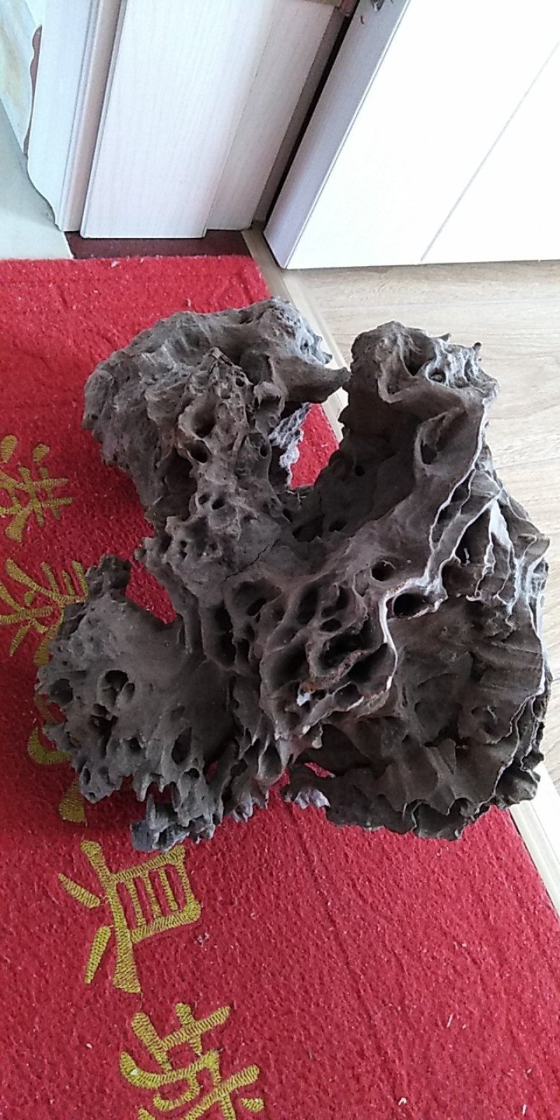 铁拐梨巜树种》