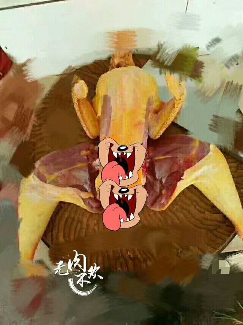 牛肉板面料，教技术，招学徒。笨鸡，笨鸡蛋，非洲雁，大鹅。