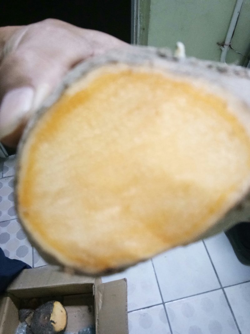 魔芋大量上市，粉质优良。