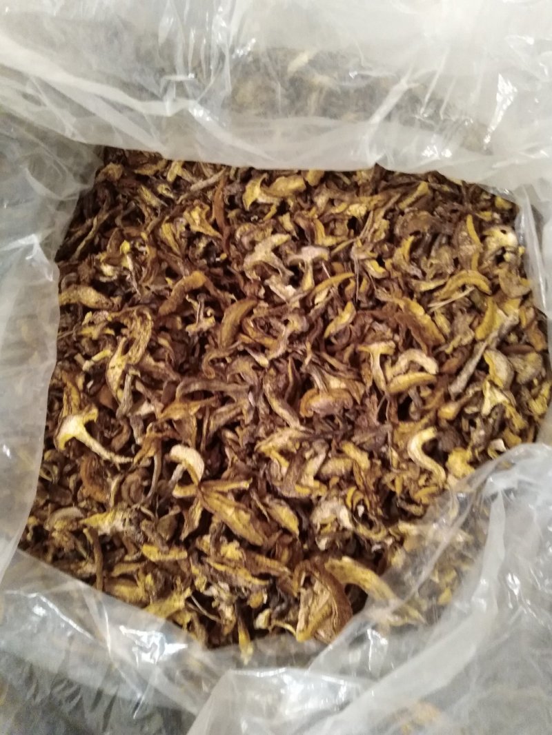 白蘑菇80一斤。黄蘑菇45一斤红菇300一斤。趟子蘑菇5