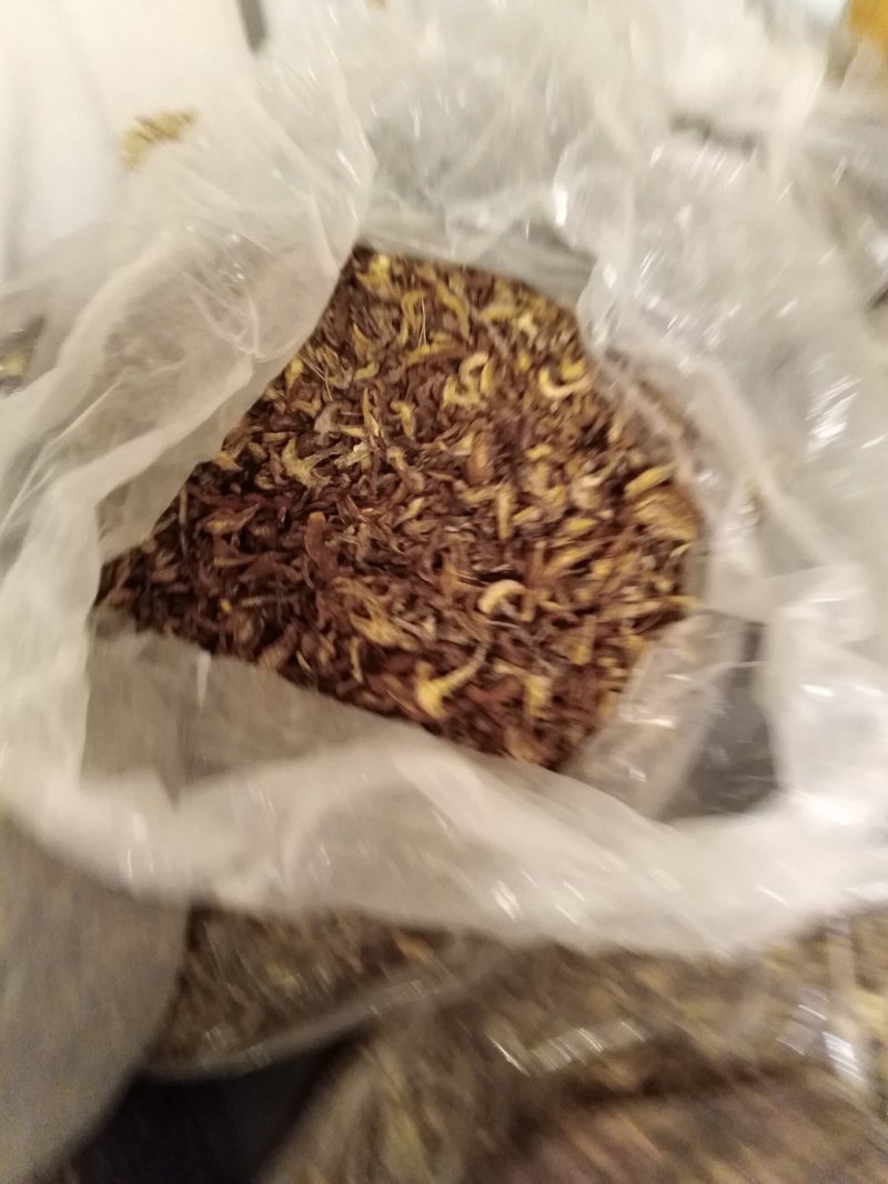 白蘑菇80一斤。黄蘑菇45一斤红菇300一斤。趟子蘑菇5