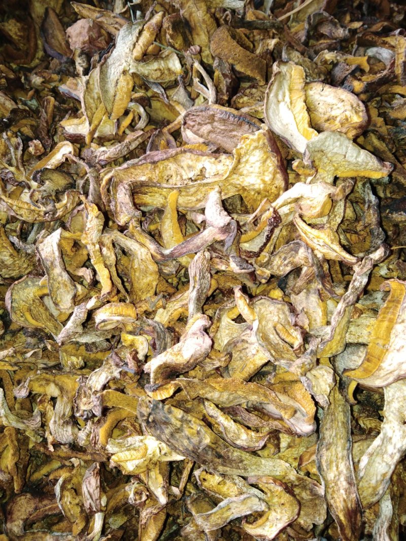 白蘑菇80一斤。黄蘑菇45一斤红菇300一斤。趟子蘑菇5