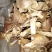 白蘑菇80一斤。黄蘑菇45一斤红菇300一斤。趟子蘑菇5