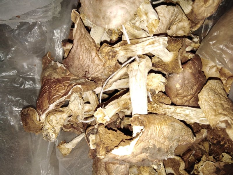 白蘑菇80一斤。黄蘑菇45一斤红菇300一斤。趟子蘑菇5