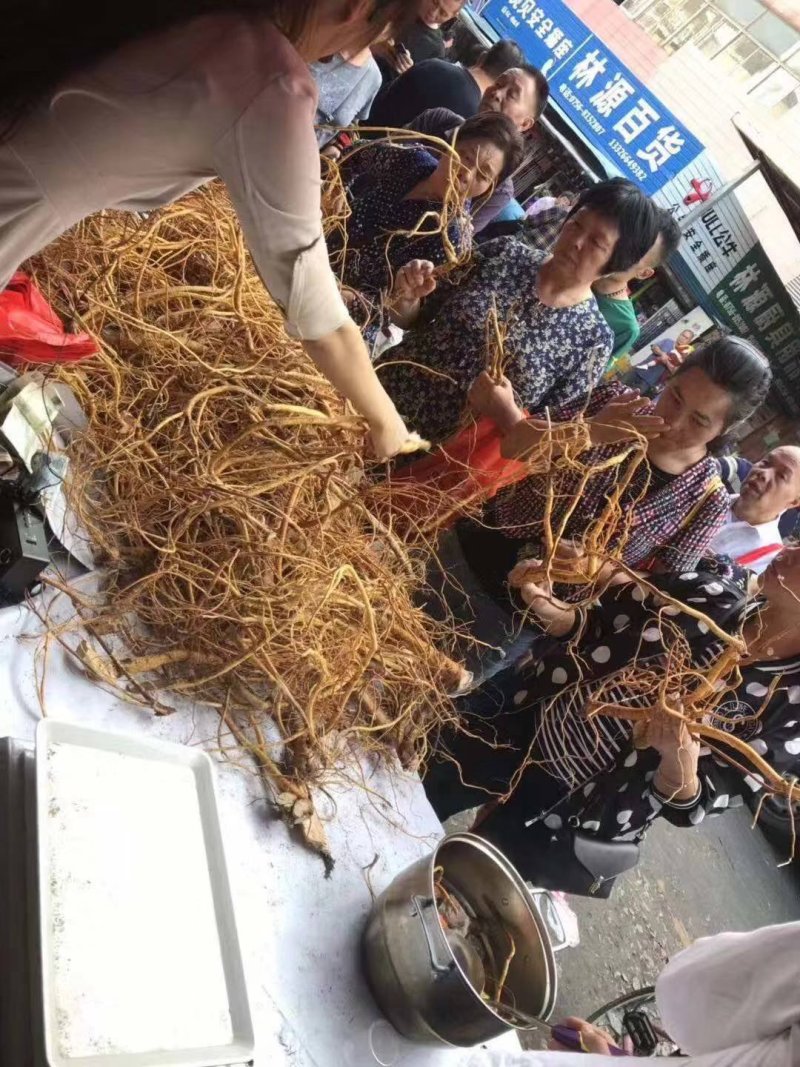 五指毛桃鲜货，产地直发