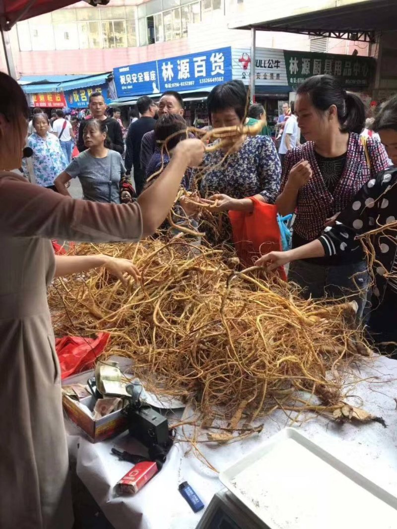 五指毛桃鲜货，产地直发