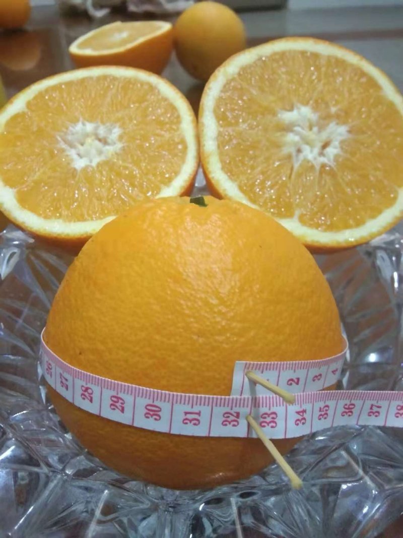 肥大圆，走一波，福建人的橙子🍊