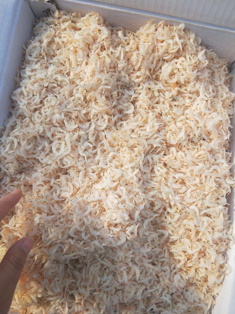 虾皮特级