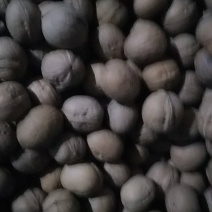 薄皮核桃，新疆灰枣