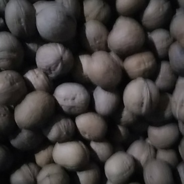 薄皮核桃，新疆灰枣