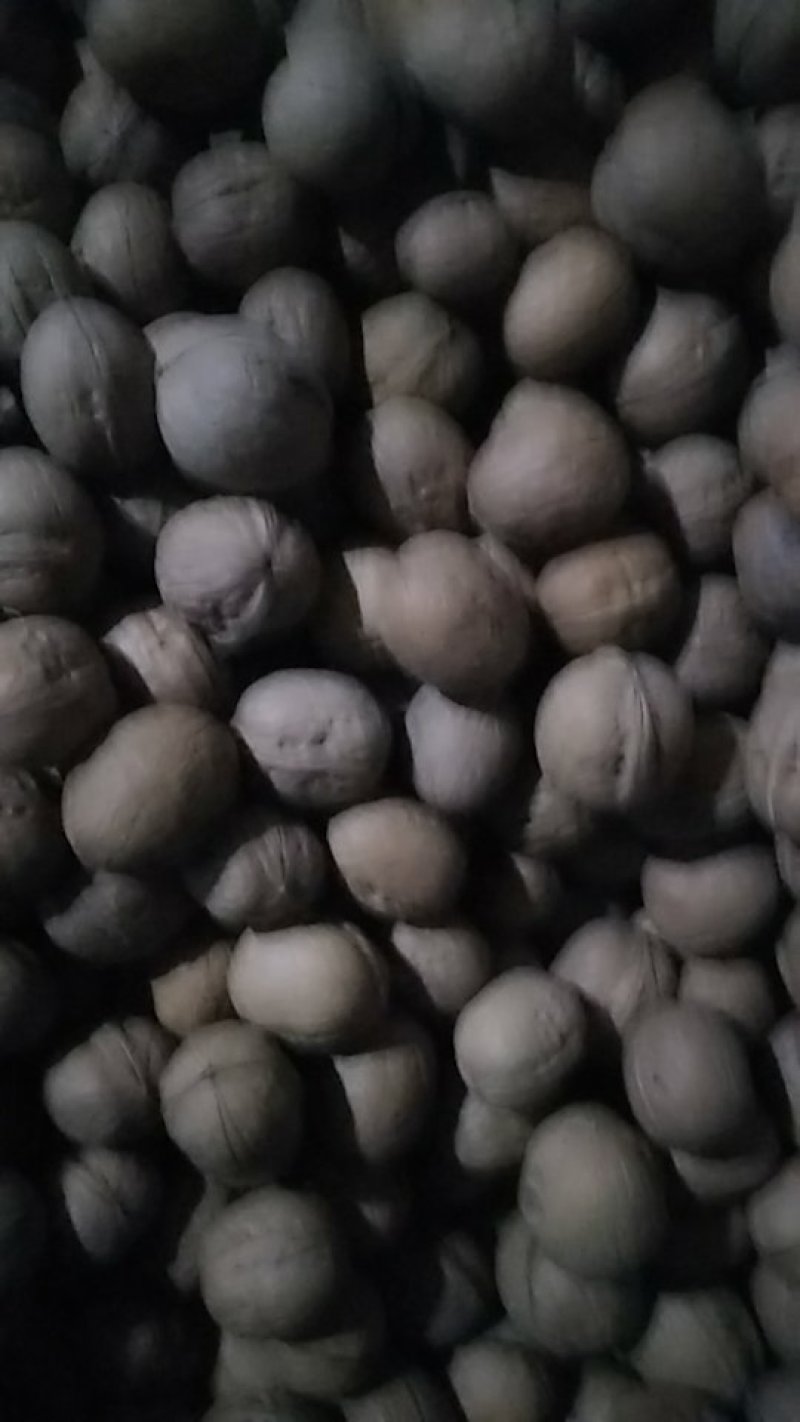 薄皮核桃，新疆灰枣