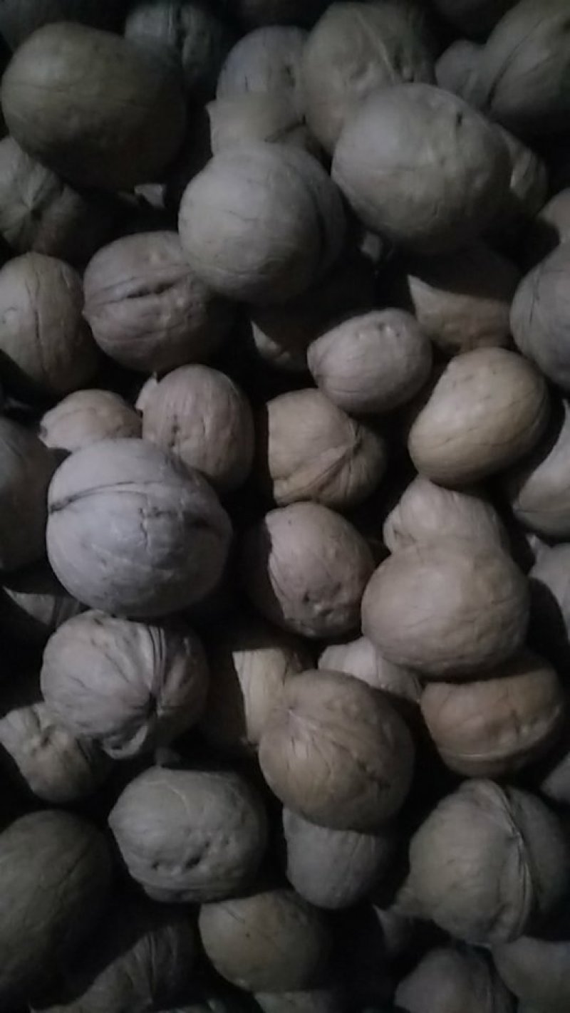 薄皮核桃，新疆灰枣