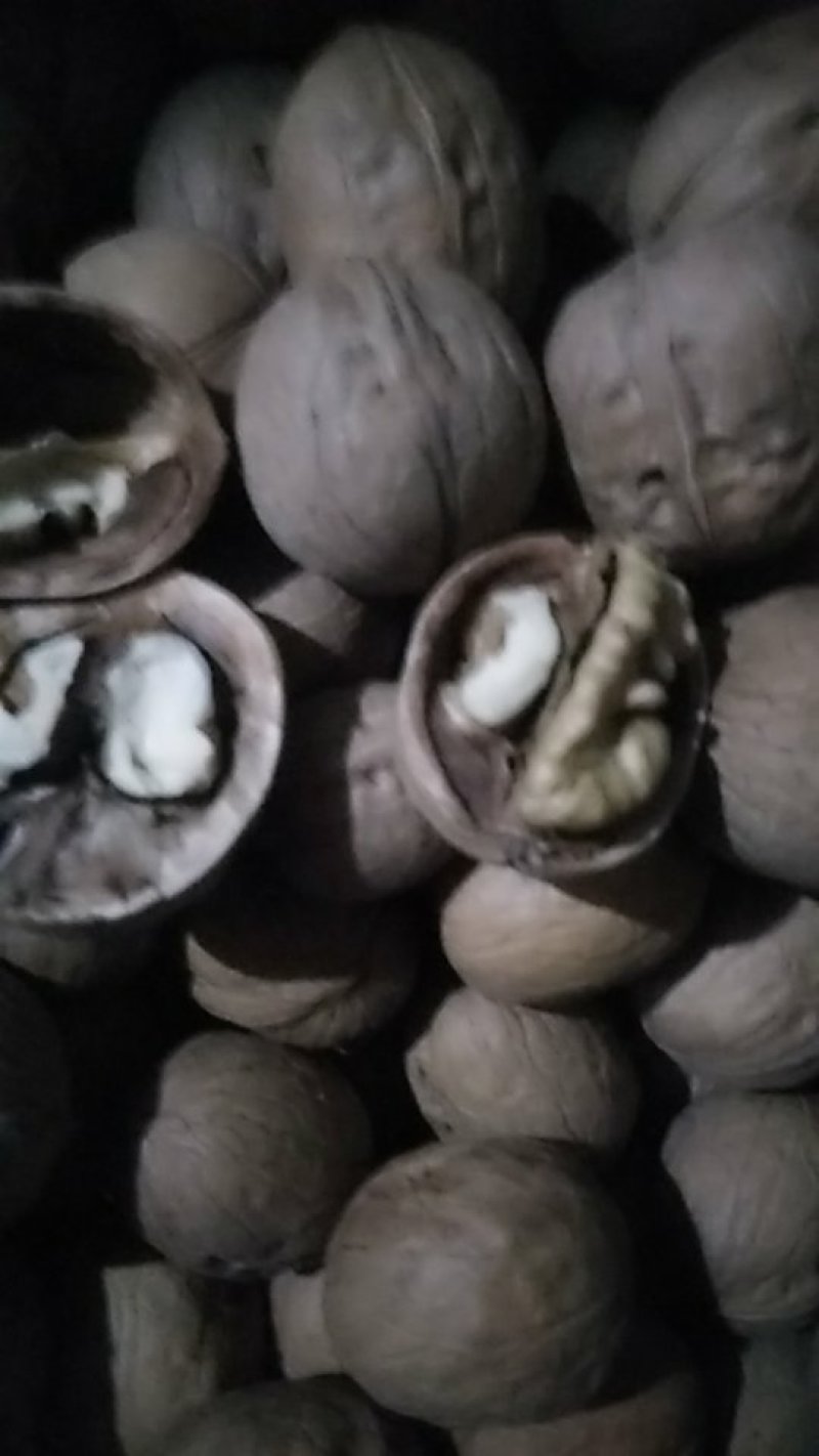 薄皮核桃，新疆灰枣