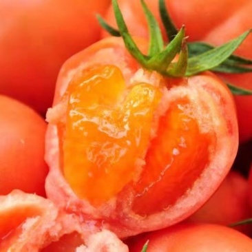 西红柿