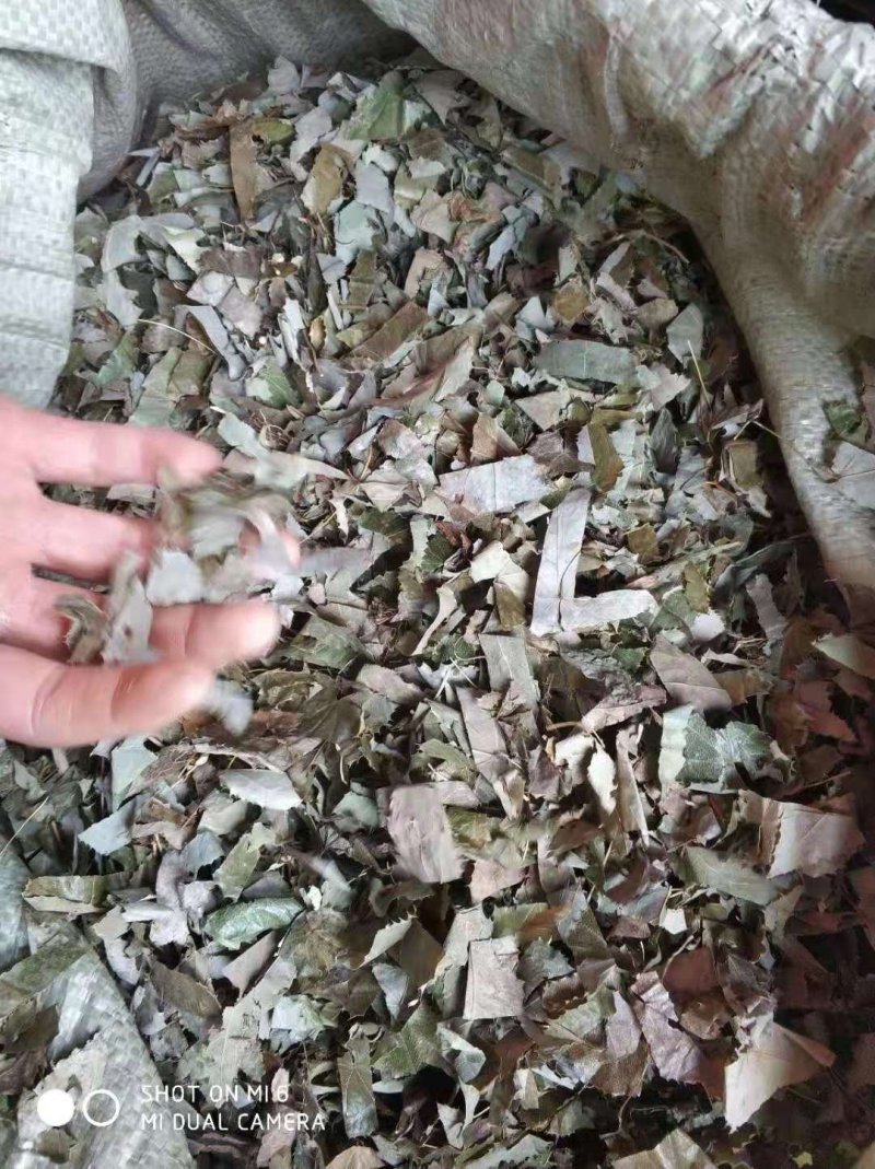 淫羊藿