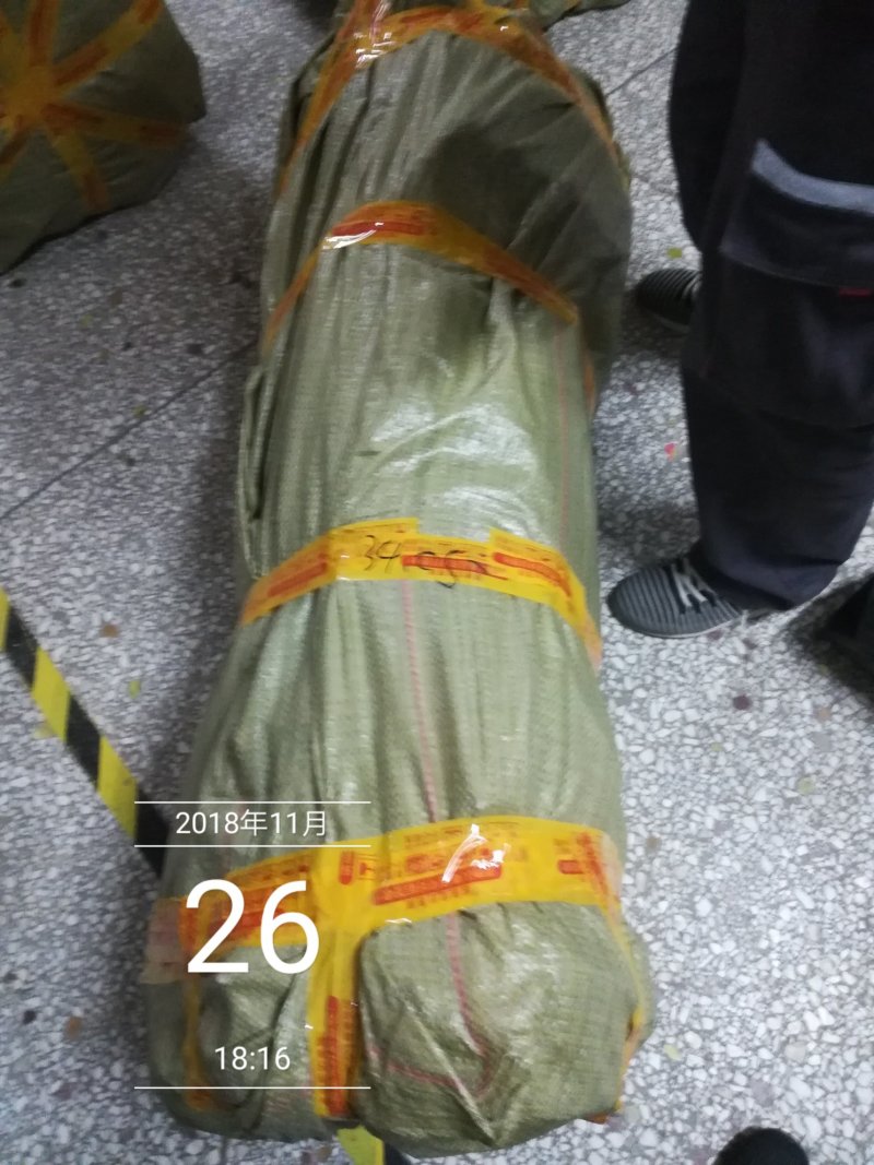 黄金梨树苗黄金梨苗梨树苗成活率高包技术