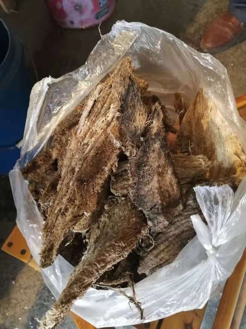 葛根