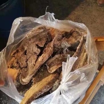葛根