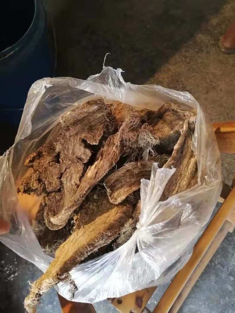 葛根