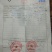 湖北栾树，黄山栾树，全冠，发冒量大价优8到20公分
