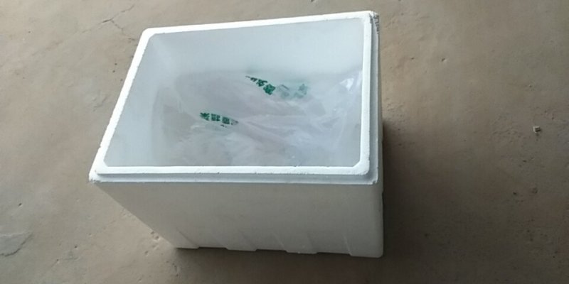 精品西兰花80亩农场地有需求的客户，抓紧下单