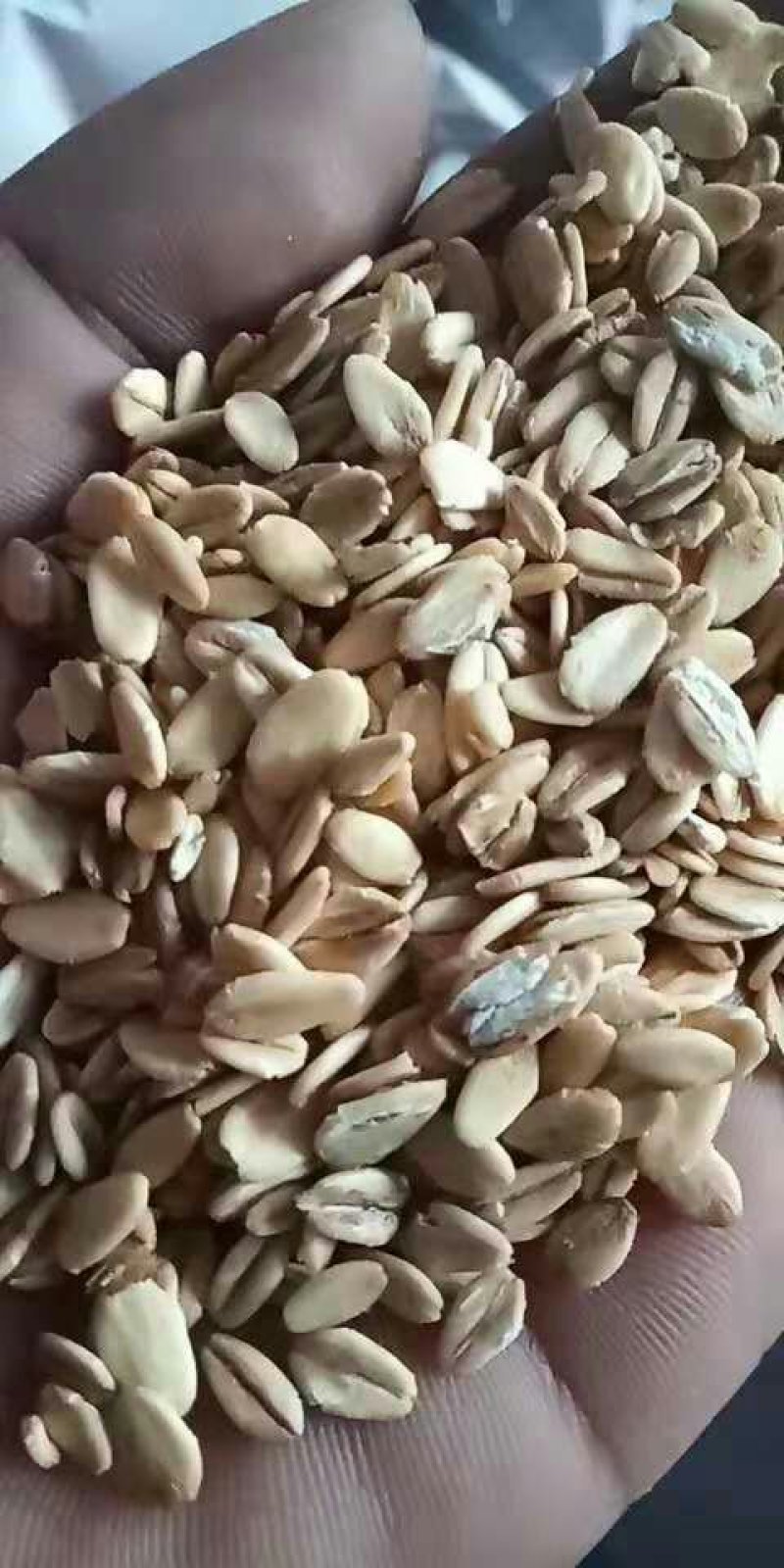 燕麦速溶片