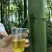 竹筒酒
