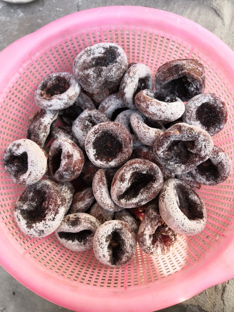 老树柿饼，实物拍摄