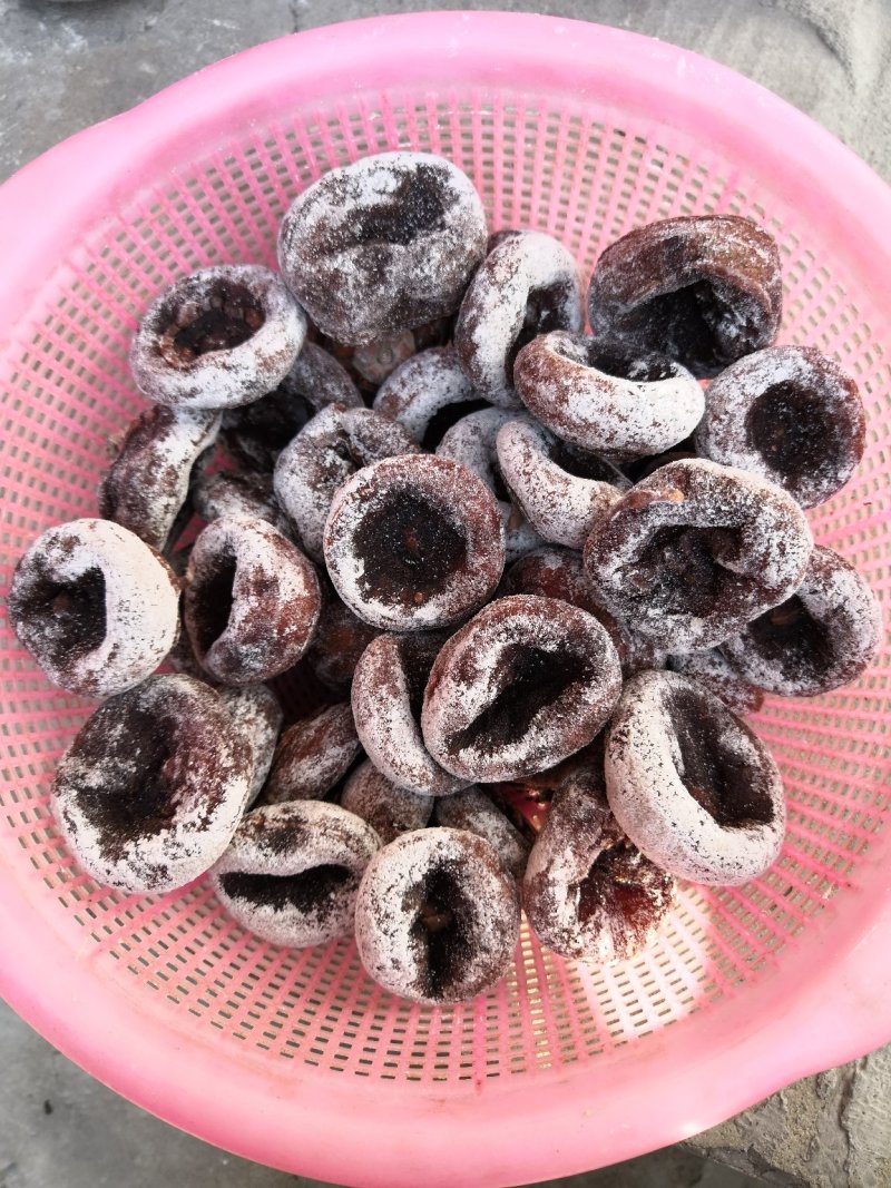 老树柿饼，实物拍摄
