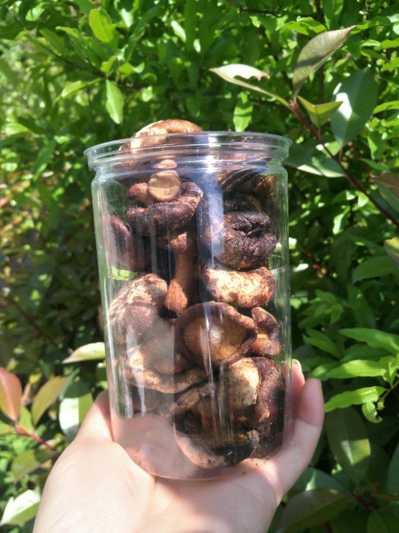 香茹脆