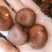 香茹脆
