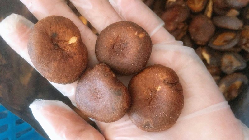 香茹脆