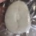法国银鳕鱼