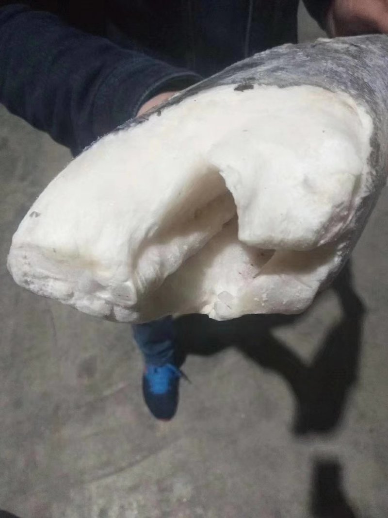法国银鳕鱼