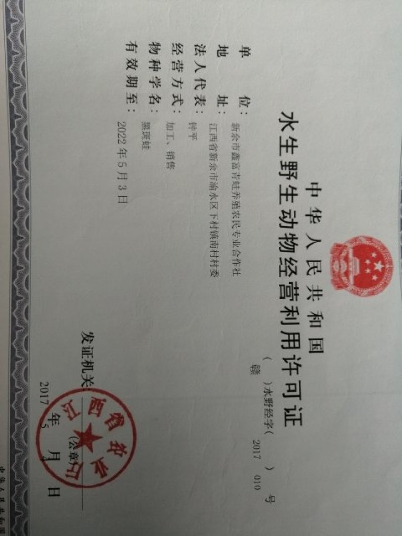 青蛙种苗