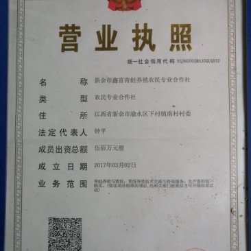 青蛙种苗