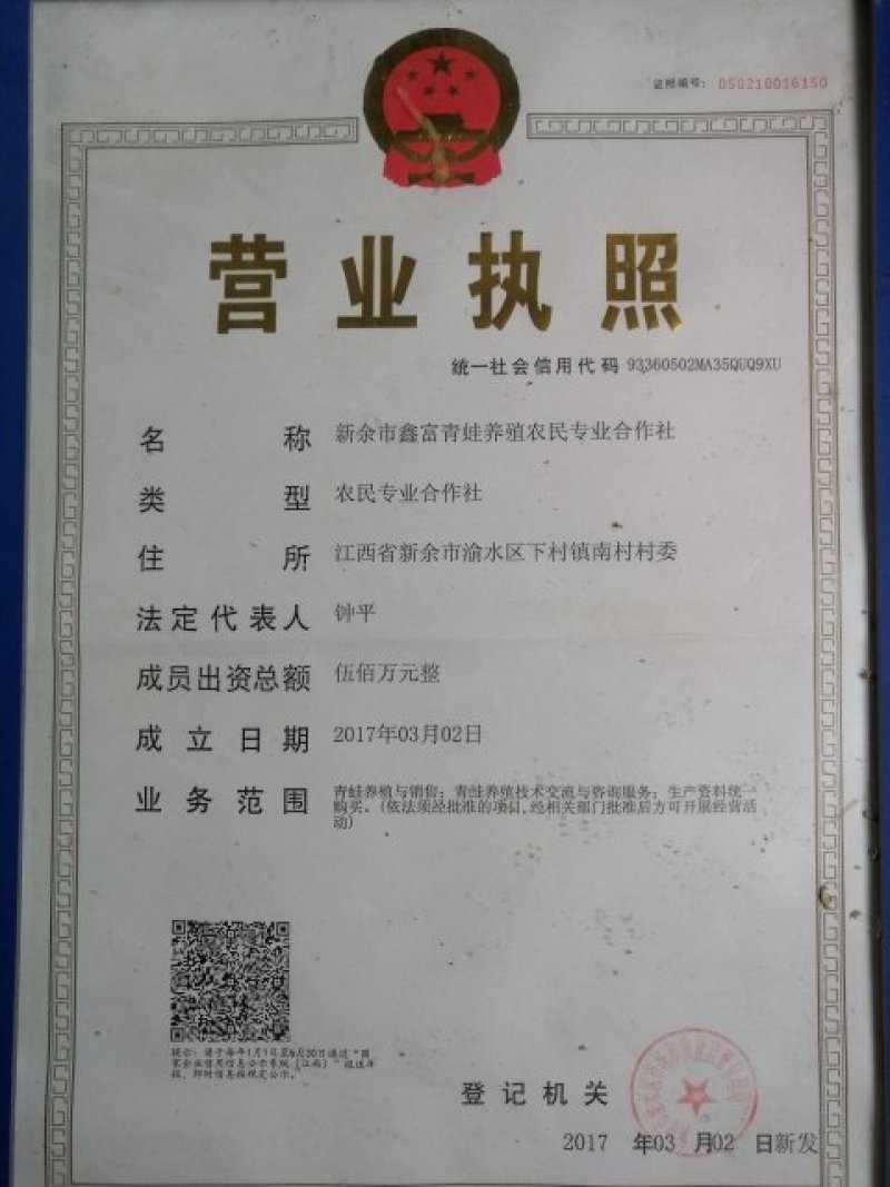 青蛙种苗