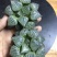 春雷寿