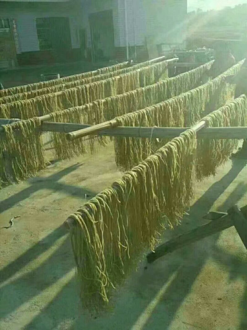 正宗绿色食品