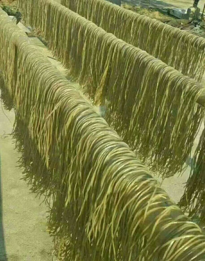 正宗绿色食品