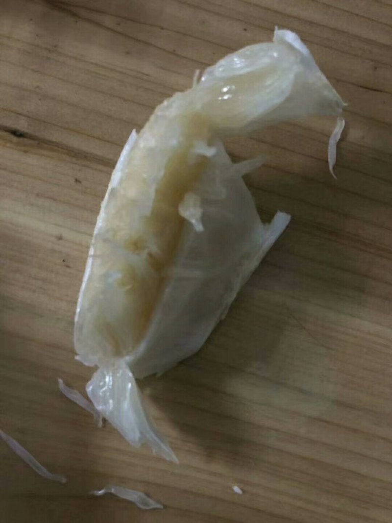 柚子
