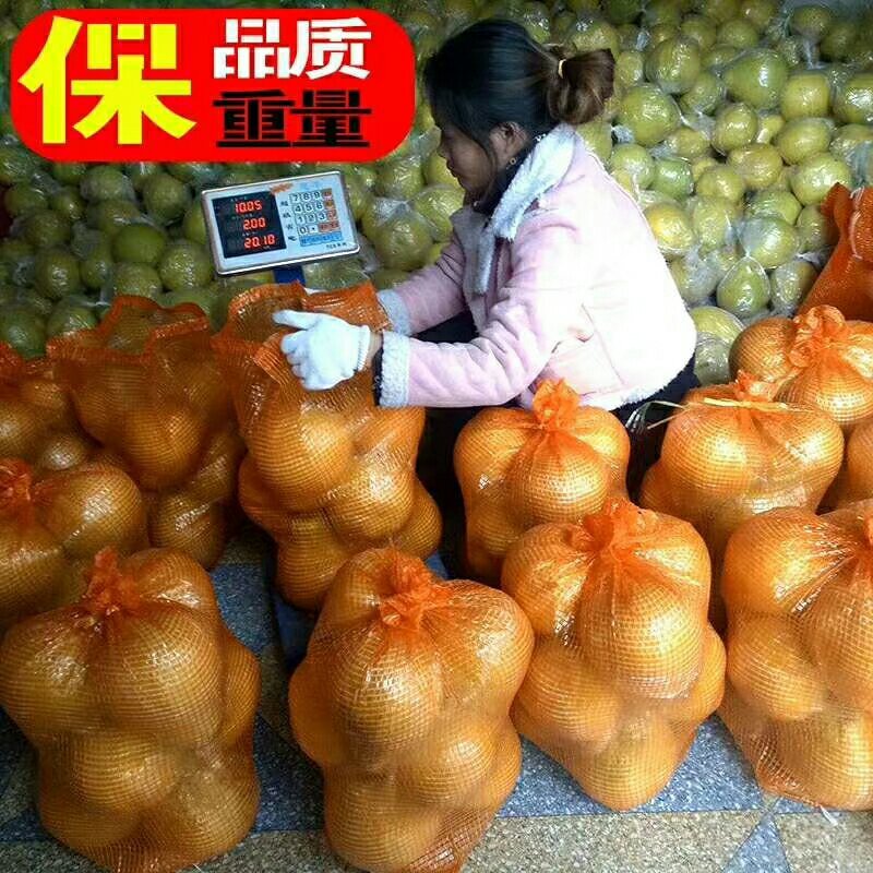 柚子