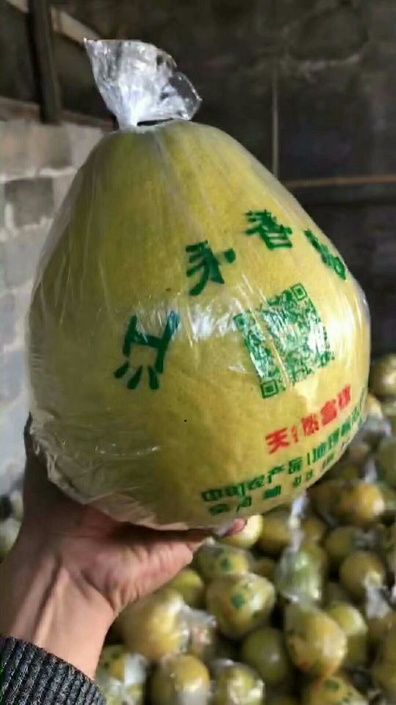 柚子
