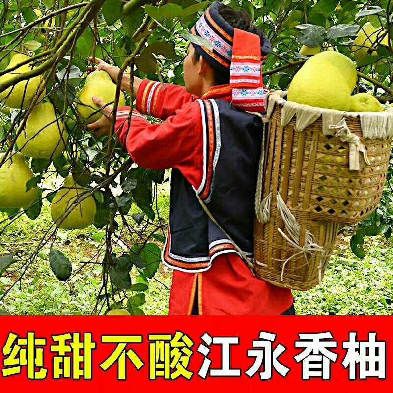 柚子