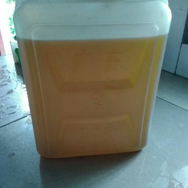 老茶油