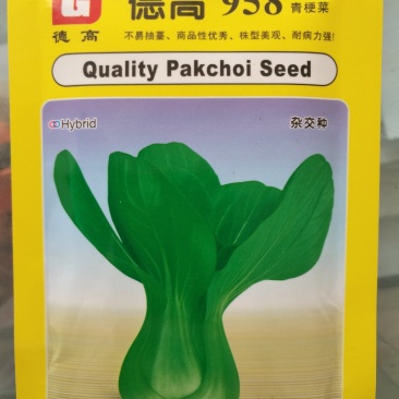 德高958青梗菜