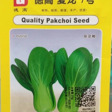 夏龙7号青梗菜